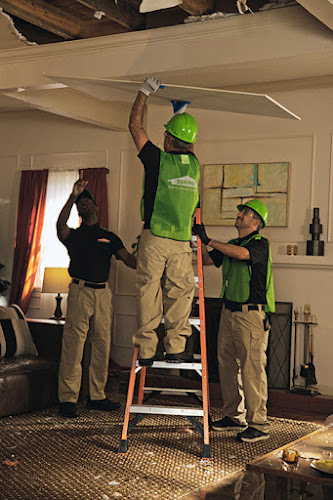 SERVPRO of Bloomington