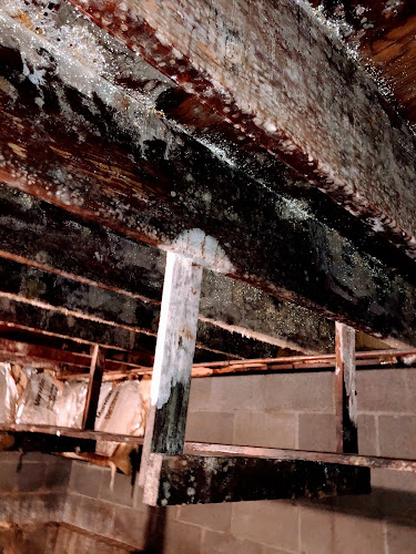 Ak Restoration Pro Anchorage Water & Fire