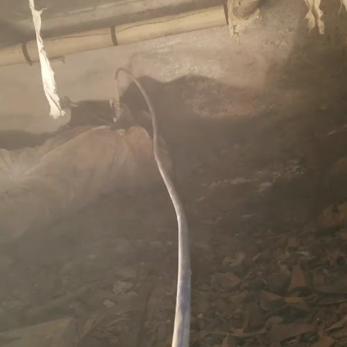 Pro Water Damage Restoration