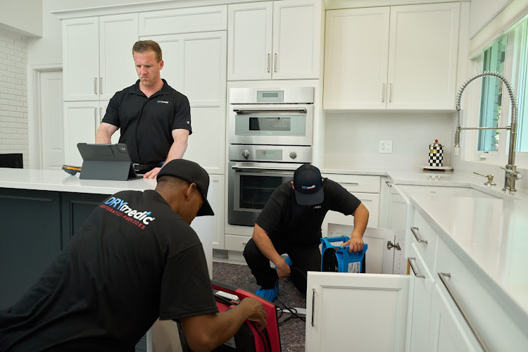 DRYmedic Restoration Services of Spring TX