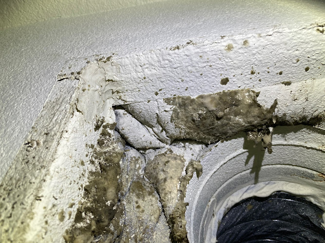 Reliant Mold Testing & Inspections