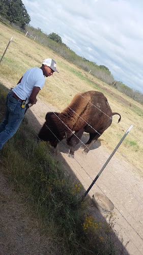 Austin Roofing & Restoration