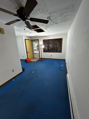 Ness Restoration & Remediation Inc.