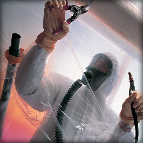 All Professional Systems