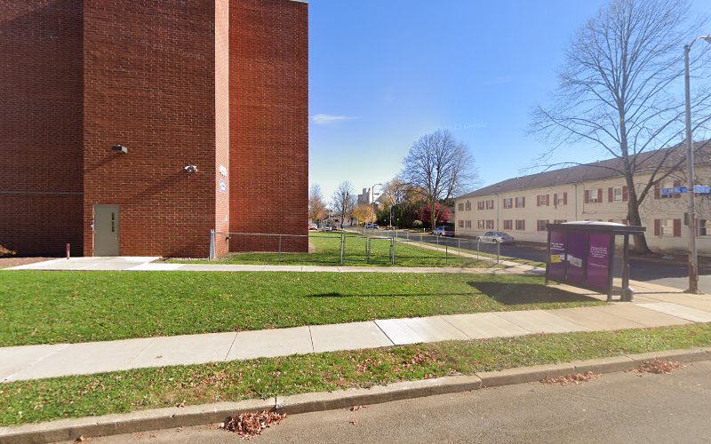 Shics Before & After