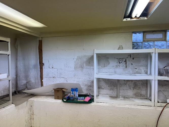 Green Guard Mold Remediation of Commack