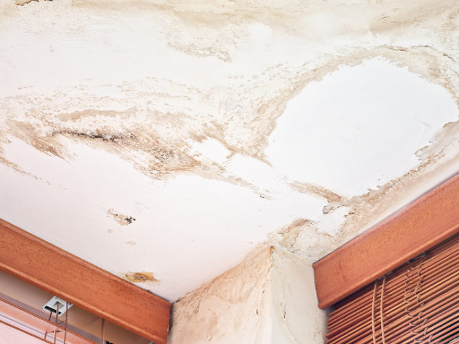 Reynolds Restoration Services