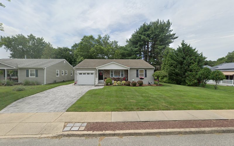 Steamline Carpet Cleaner