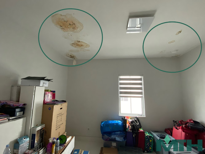 Mold Testing Hub Miami