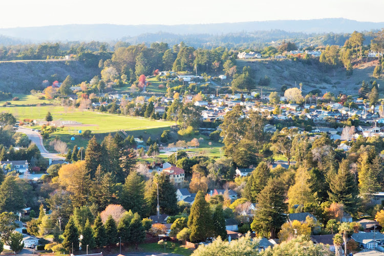 Construction Services Incorporated