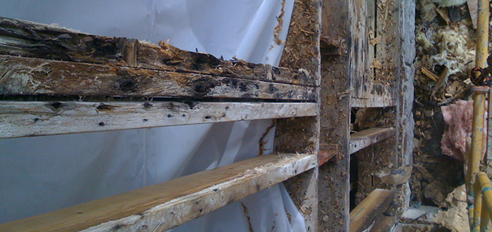 Global Restoration Services LLC, GRS