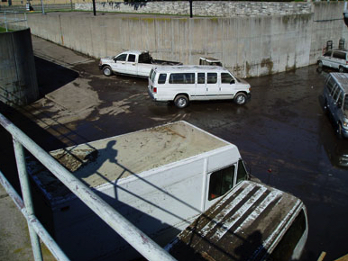 Certified Professional