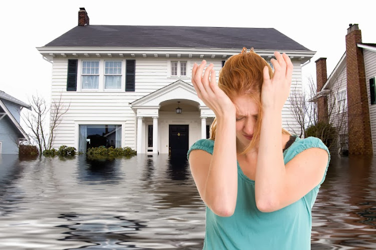 Allied Restoration Inc