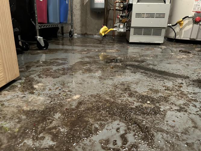 Best Option Restoration of Lakewood