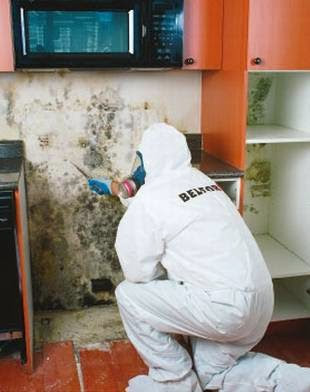 BELFOR Property Restoration (Columbus)