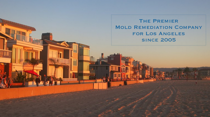 Rapid Response Restoration