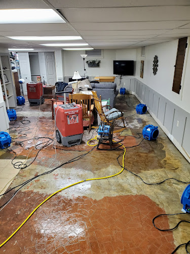 Complete Detail Cleaning & Restoration