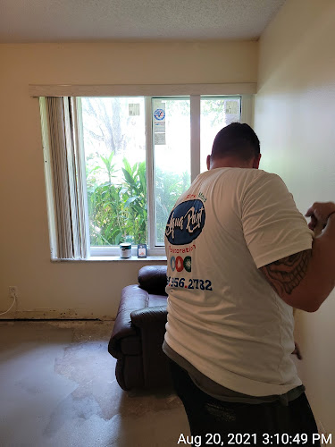 Aqua Point Restoration Pros