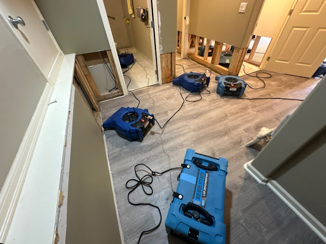 Environment Control North Seattle Restoration Services