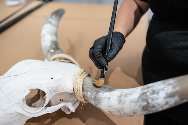 Prism Specialties Art of Central Virginia & Tidewater