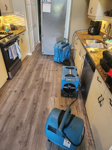 Brevard Mold Inspection & Removal