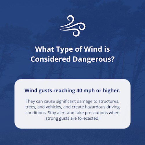 Rainbow International of State College