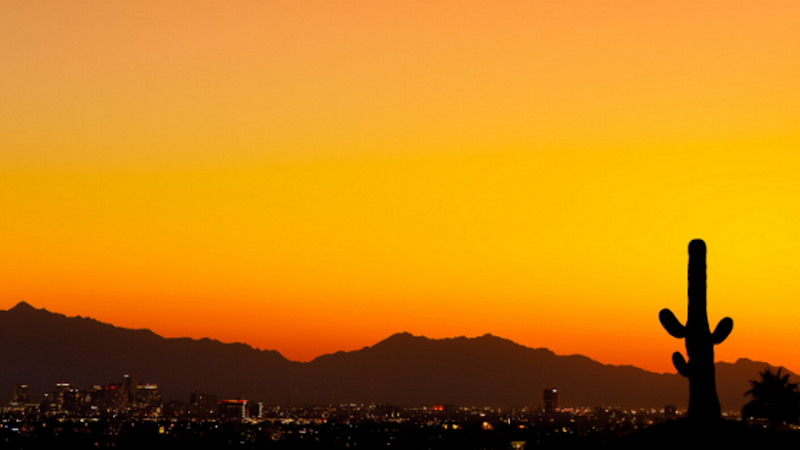 Desert Valley Abatement, LLC.