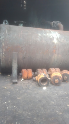 The Mold Pros of Colorado