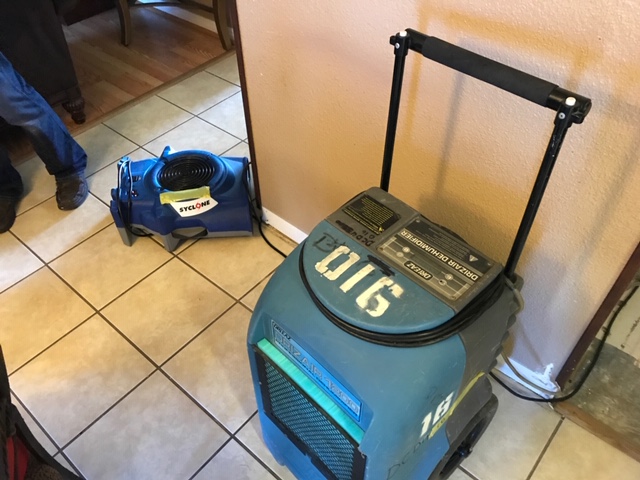 DynaClean Professional Services