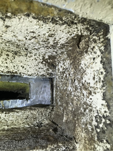 United Water Restoration Group of San Antonio