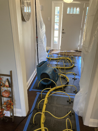 Rainbow International of Acme