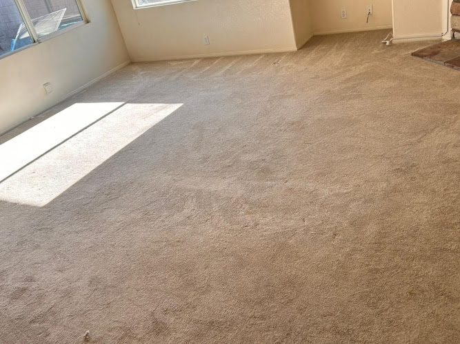 A1 Cleaning Carpet Humble