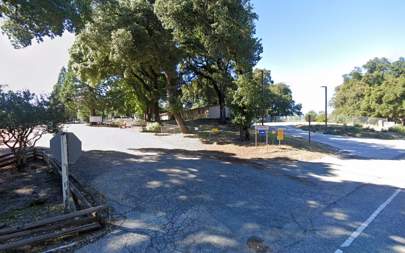 Ben Lomond Conservation Camp #45