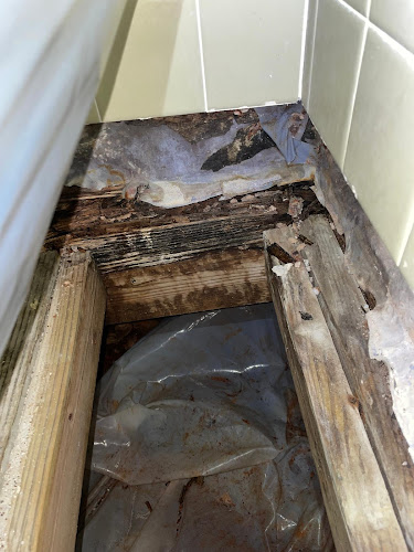 MoldStar Remediation