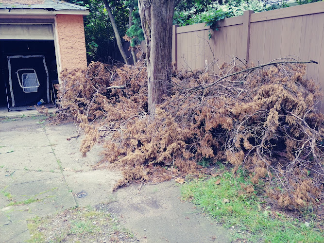 ACI Adjustment Group