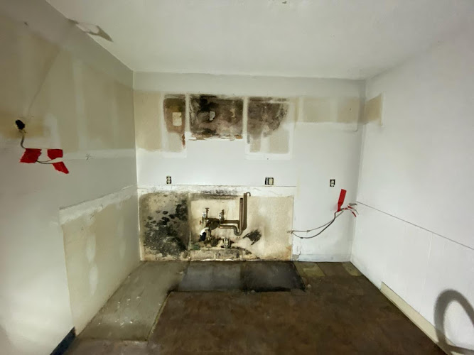 Carlyle Environmental