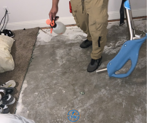 True North Restoration of Denver