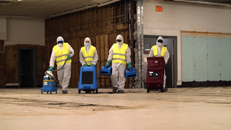 All Dry Water Damage Experts