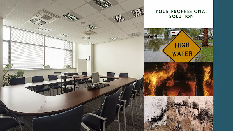 Delise Restoration & Cleaning Services, LLC