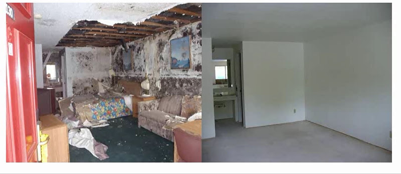 Clean Green Restoration