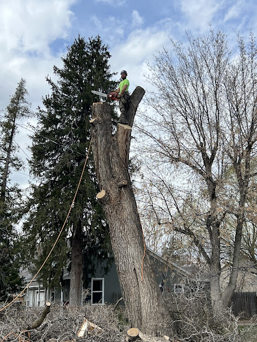 Skyline Tree Service, LLC
