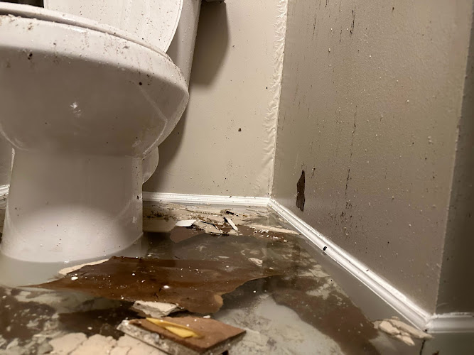 Lightspeed Restoration of Lorton, Manassas, and Fredericksburg