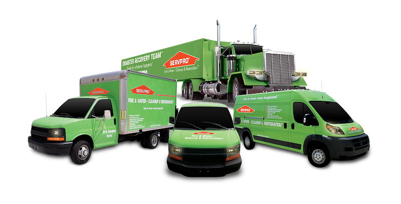 SERVPRO of Media and SERVPRO of Central Delaware County