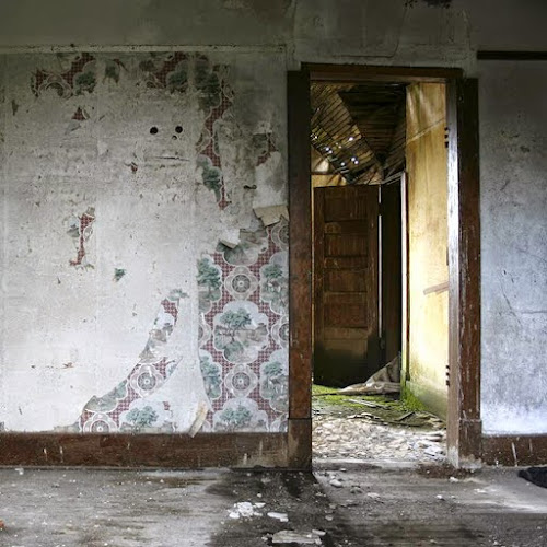 Rainbow Restoration of Northern Virginia