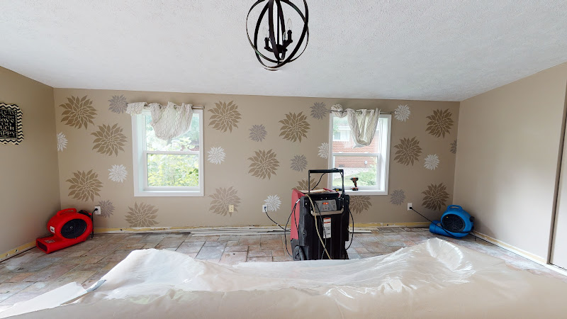 BluSky Restoration of Morton/Peoria