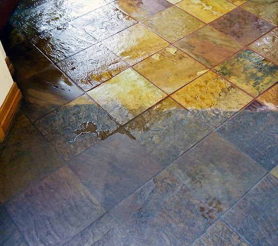 Belmont Clean Healthy Carpet Cleaning and Flood Restoration