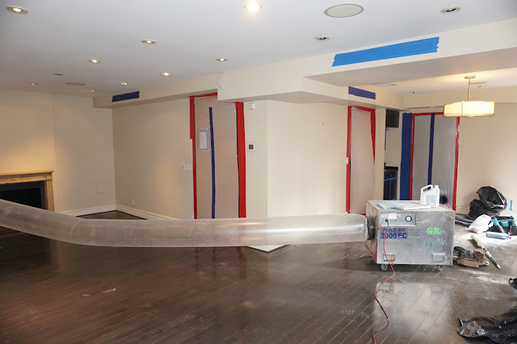 Green Restoration of New Haven