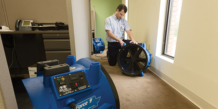 Rainbow International of Greater Austin