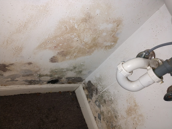 Spartan Restoration Inc.