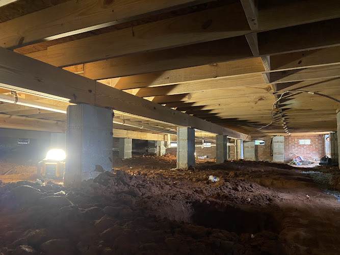 The Mold Girl - A Charlotte Mold Testing and Inspection Company